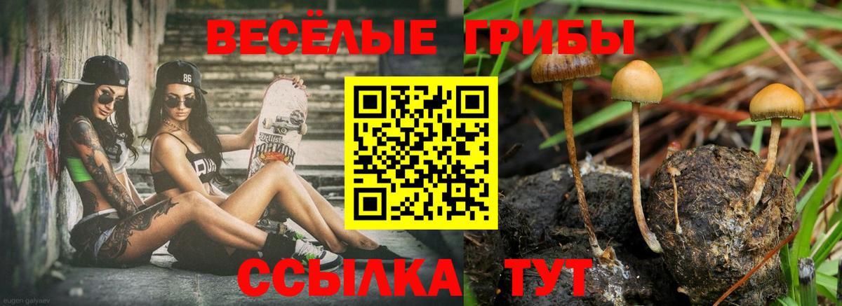 Вольск  Галлюциногенные грибы мицелий  Вход с VPN  Галлюциногенные грибы GOLDEN TEACHER 